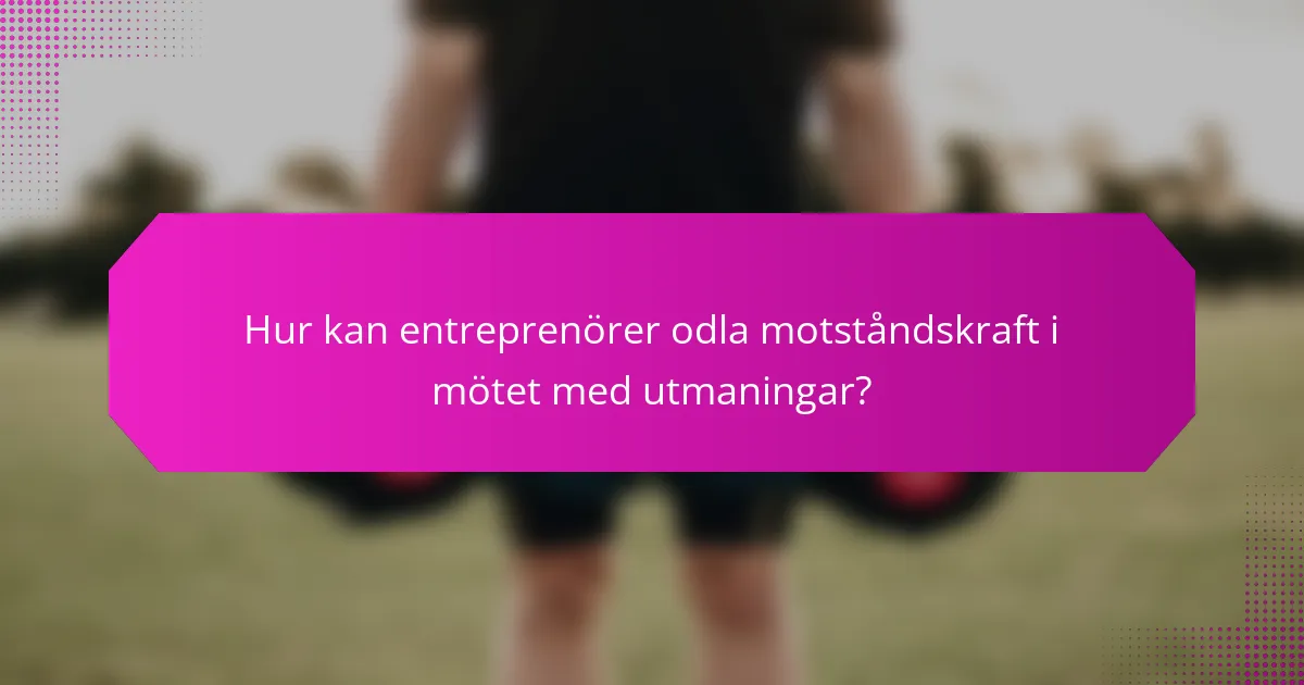 Hur kan entreprenörer odla motståndskraft i mötet med utmaningar?