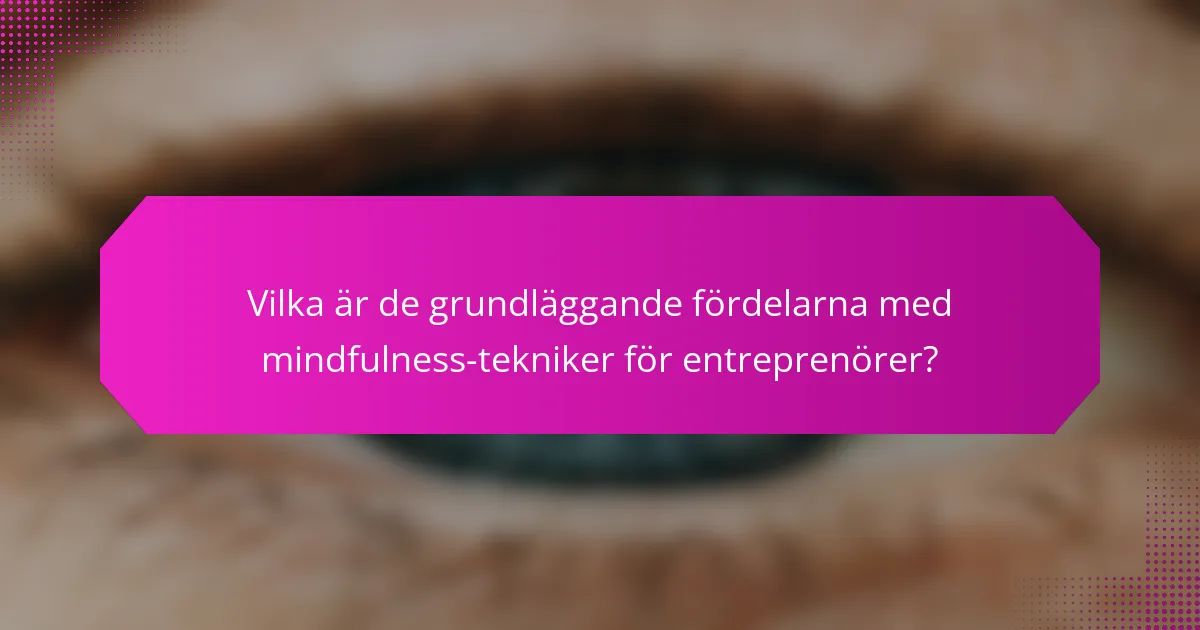 Vilka är de grundläggande fördelarna med mindfulness-tekniker för entreprenörer?