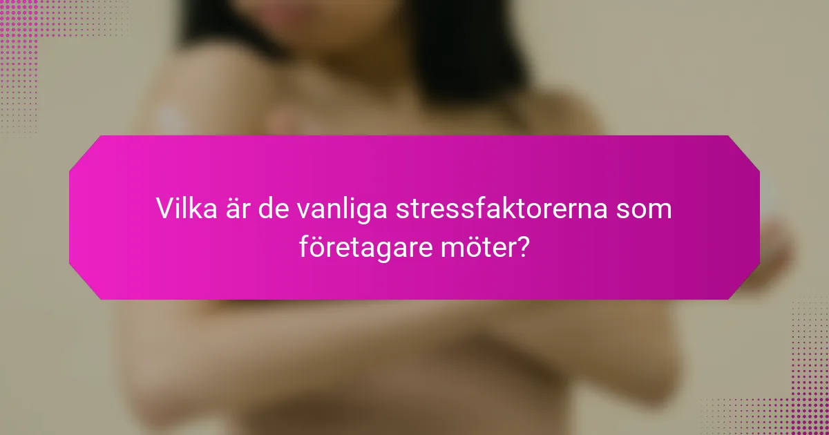 Vilka är de vanliga stressfaktorerna som företagare möter?