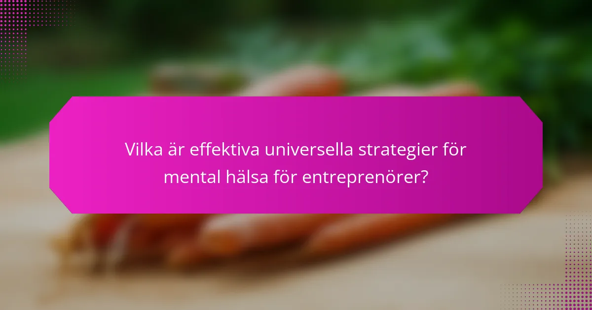 Vilka är effektiva universella strategier för mental hälsa för entreprenörer?