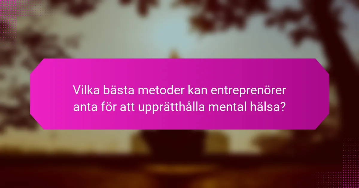 Vilka bästa metoder kan entreprenörer anta för att upprätthålla mental hälsa?