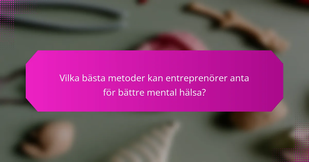 Vilka bästa metoder kan entreprenörer anta för bättre mental hälsa?