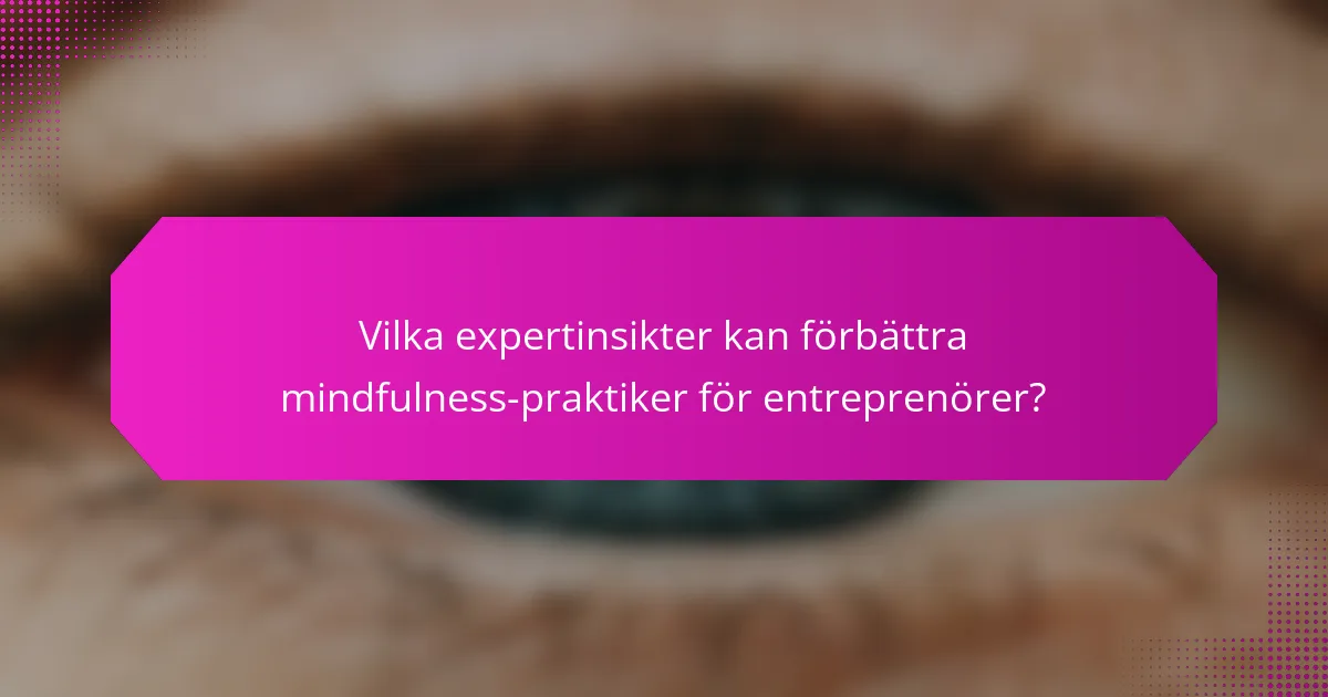 Vilka expertinsikter kan förbättra mindfulness-praktiker för entreprenörer?