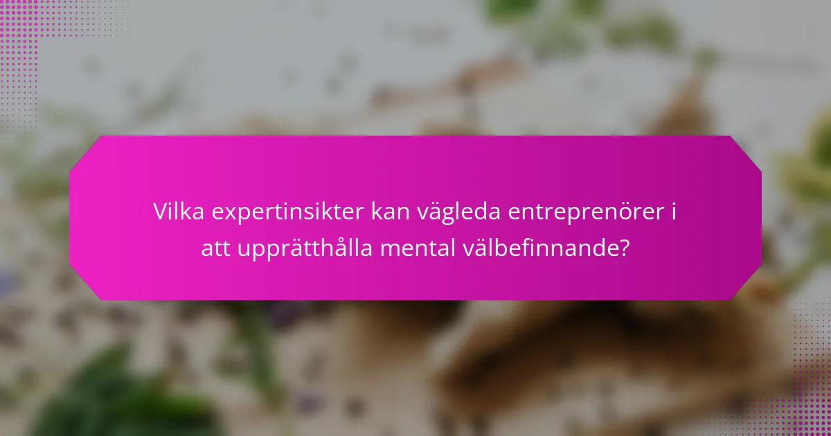 Vilka expertinsikter kan vägleda entreprenörer i att upprätthålla mental välbefinnande?