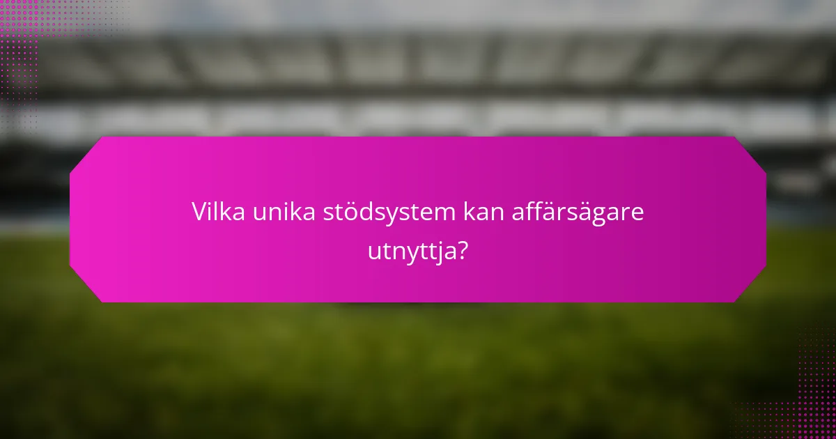 Vilka unika stödsystem kan affärsägare utnyttja?