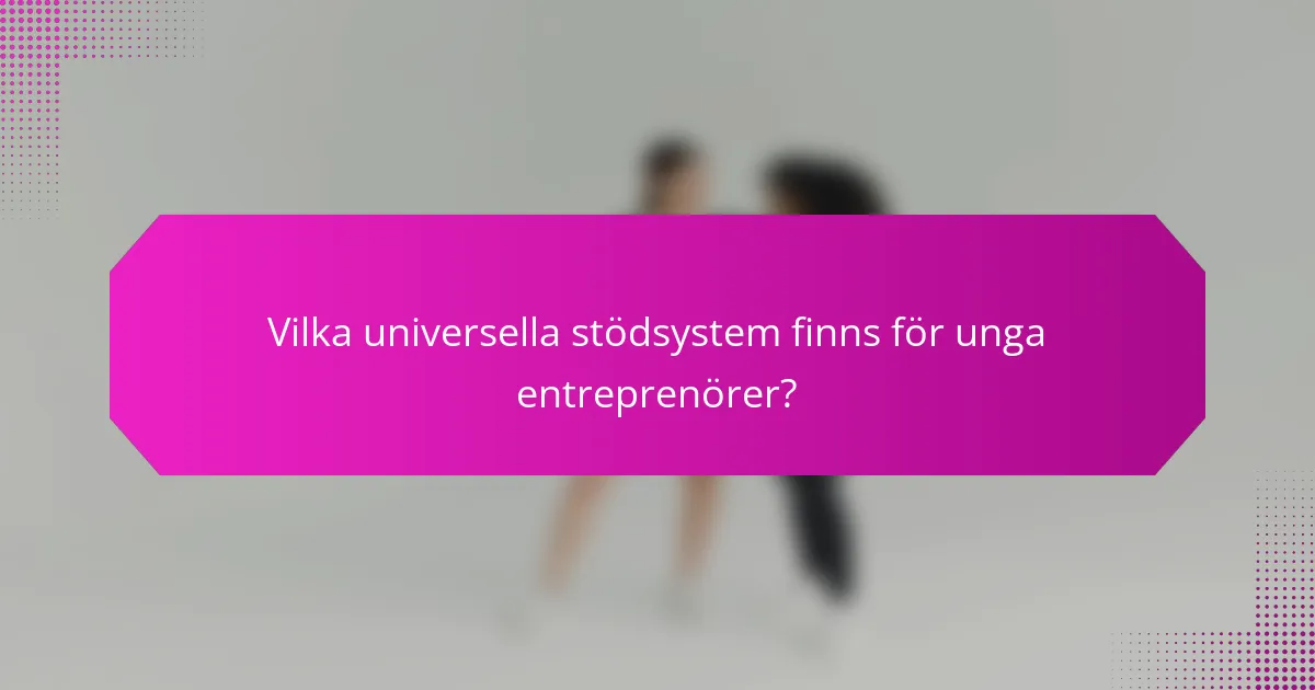 Vilka universella stödsystem finns för unga entreprenörer?