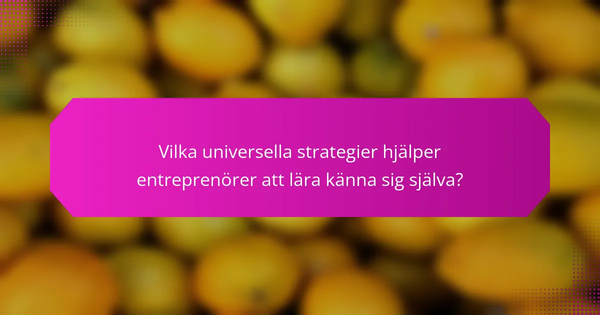 Vilka universella strategier hjälper entreprenörer att lära känna sig själva?